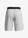 Spodenki męskie Under Armour  Vanish Woven Snap Sts-GRY