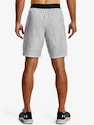 Spodenki męskie Under Armour  Vanish Woven Snap Sts-GRY