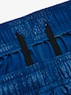 Spodenki męskie Under Armour  Woven Emboss Short-BLU
