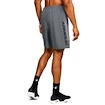 Spodenki męskie Under Armour  Woven Graphic Wordmark Short Grey