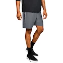 Spodenki męskie Under Armour  Woven Graphic Wordmark Short Grey