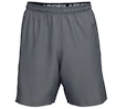 Spodenki męskie Under Armour  Woven Graphic Wordmark Short Grey S