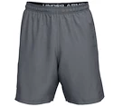 Spodenki męskie Under Armour  Woven Graphic Wordmark Short Grey S