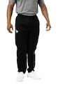 Spodnie męskie Bauer  Team Lightweight Pant Black