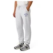 Spodnie męskie CCM  Athleisure Jogger Grey Melange