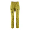 Spodnie męskie Klättermusen  Grimner Pant Meadow Green/Meadow Green XL