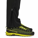 Spodnie męskie Patagonia  Altvia Trail Pants Black