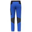 Spodnie męskie Salewa  Pedroc 2 DST M Light Pants Electric