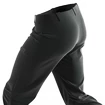 Spodnie męskie Salomon  M Wayfarer Pants Black