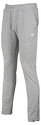 Spodnie męskie Tecnifibre  Club Pants Silver