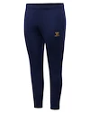 Spodnie męskie Warrior Aurum Travel Pant Navy