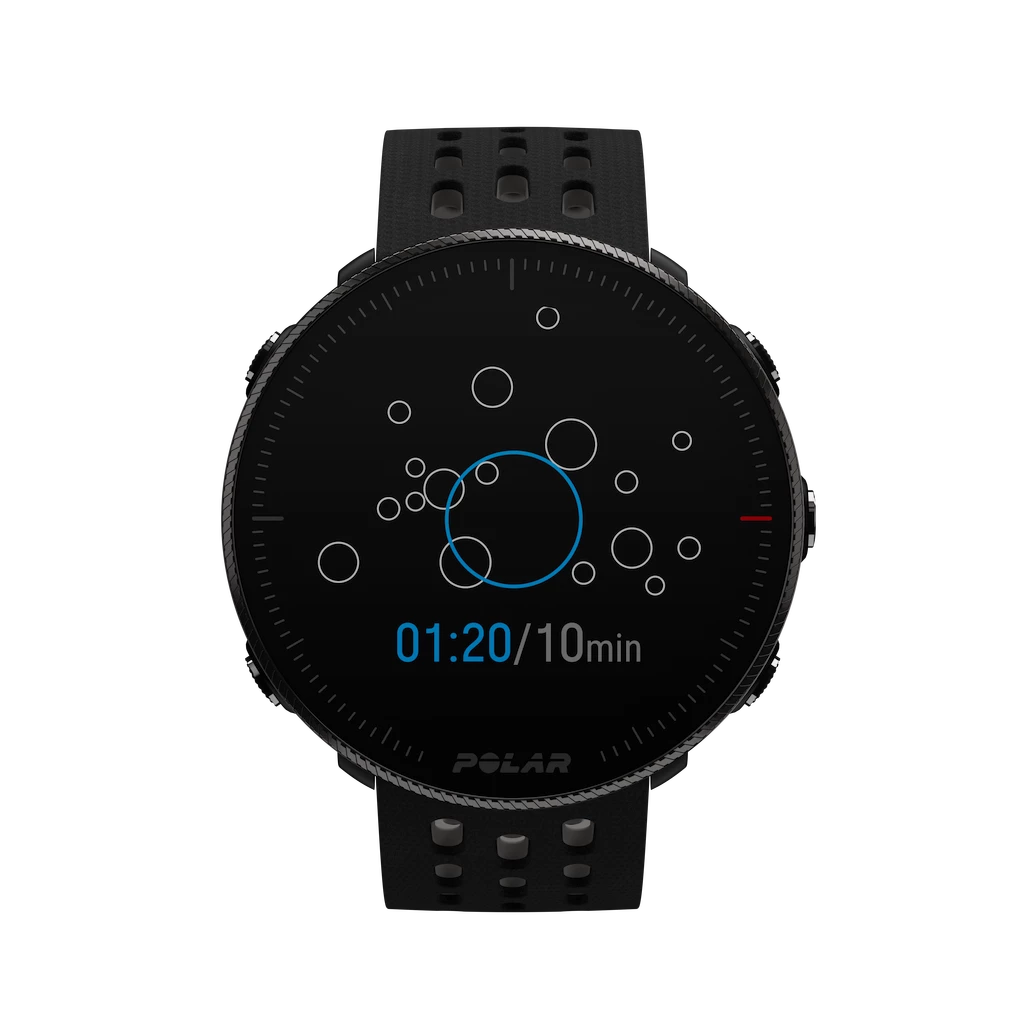 Sporttester Polar Vantage M 2 black/grey