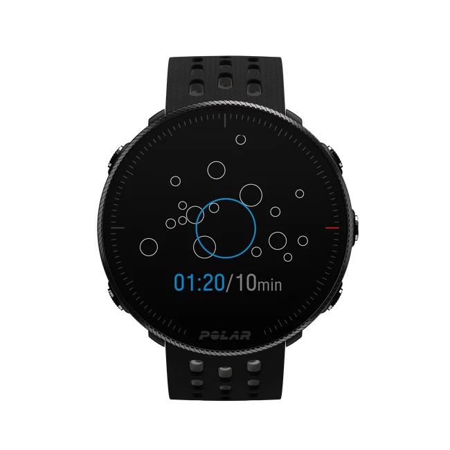 Sporttester Polar Vantage M 2 black/grey