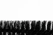 Szczotka PEATY'S  Detailer Brush
